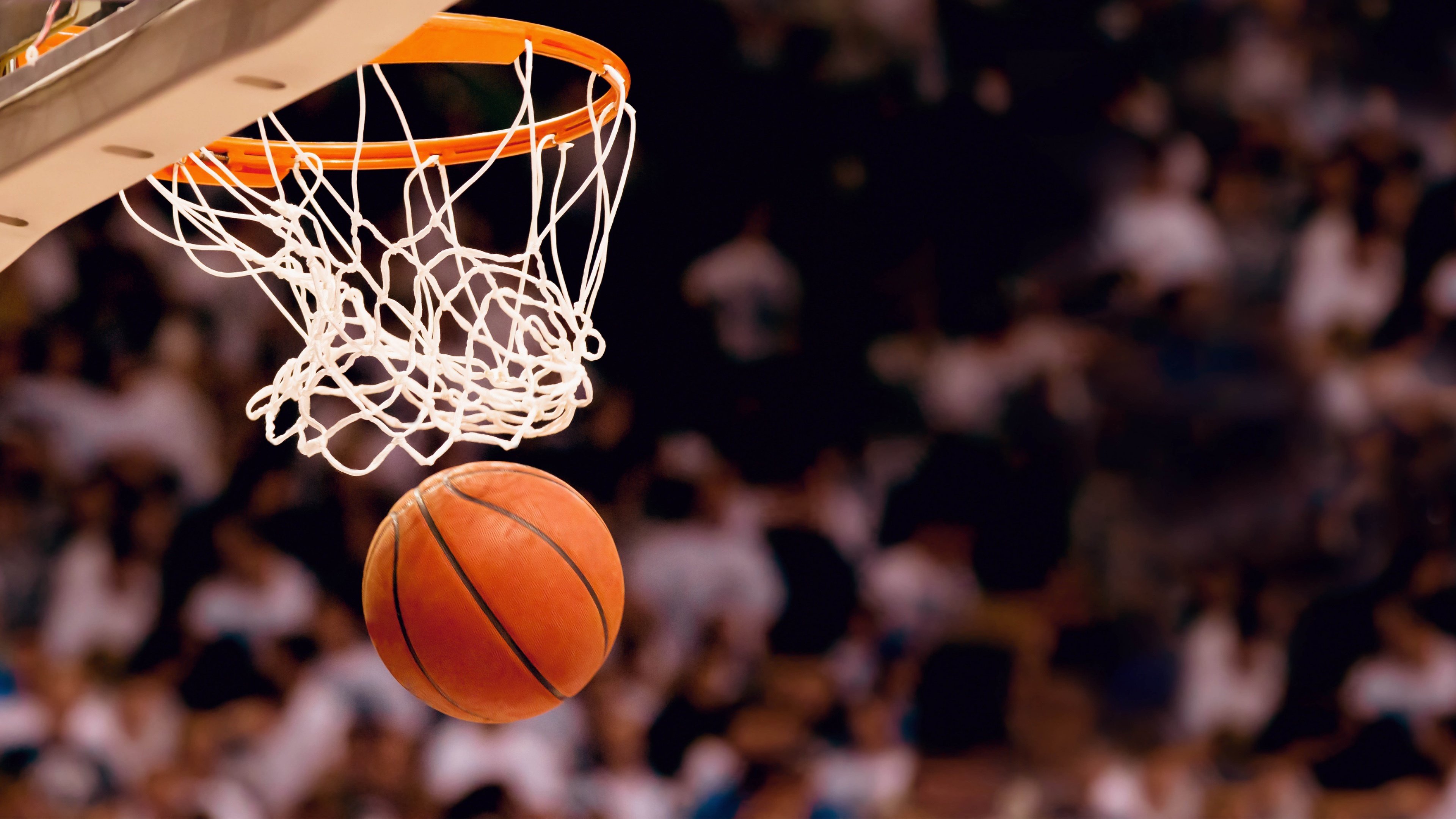意甲名帅跨界NBA引热议，足球战术能征服篮球场吗？|火炬之光无限